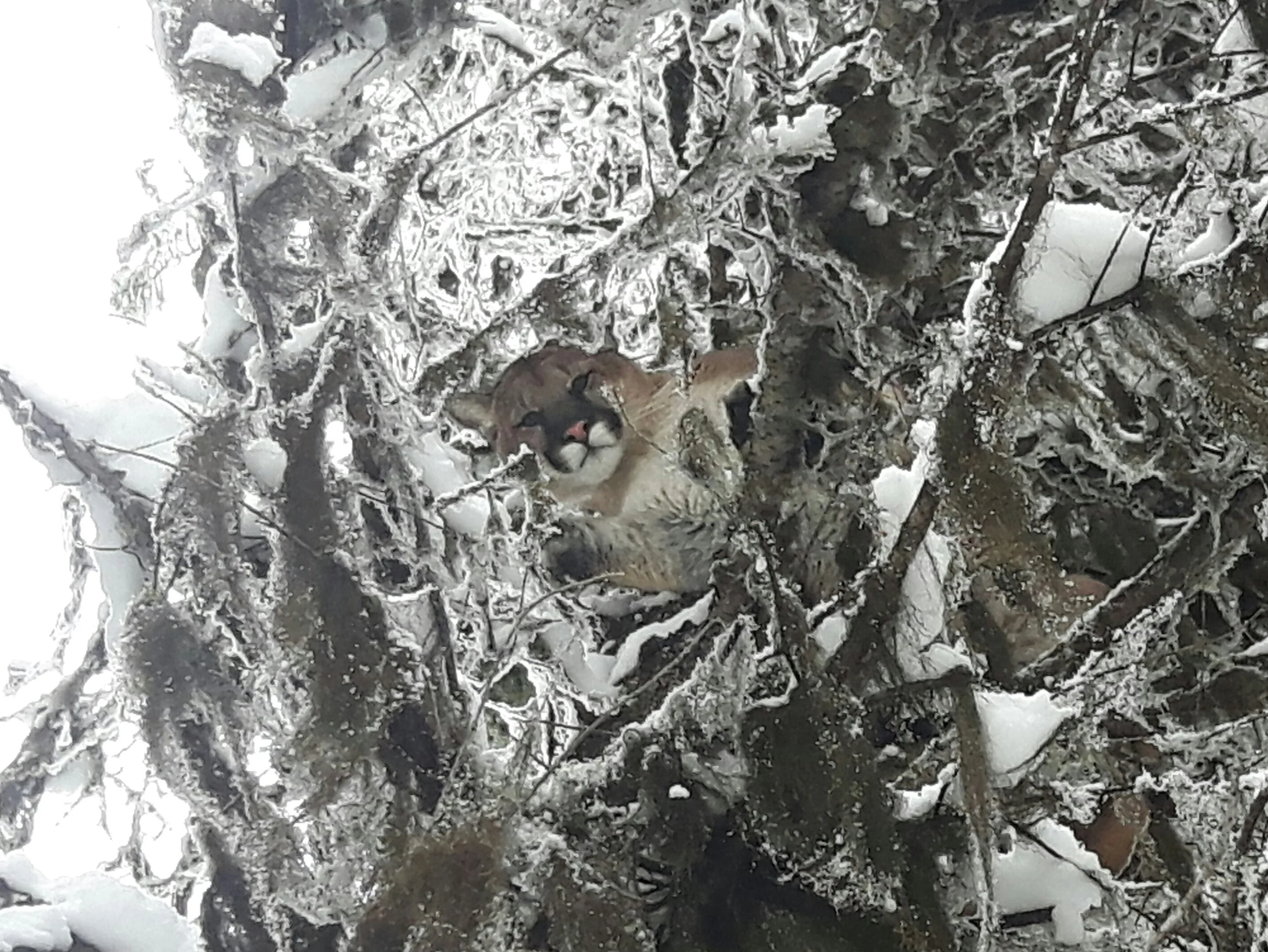 20180127_201931.jpg