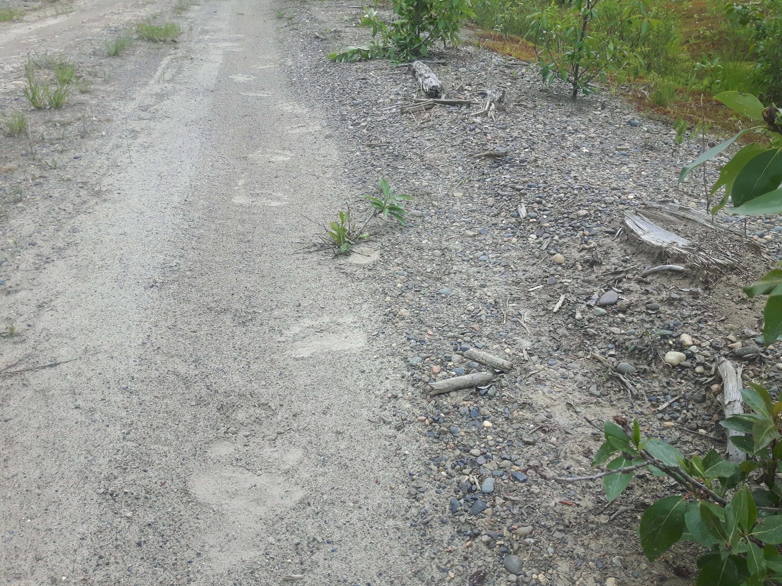20180530_105305.jpg