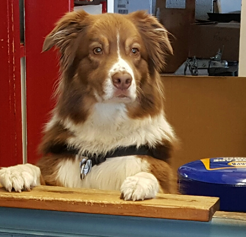 Roscoe