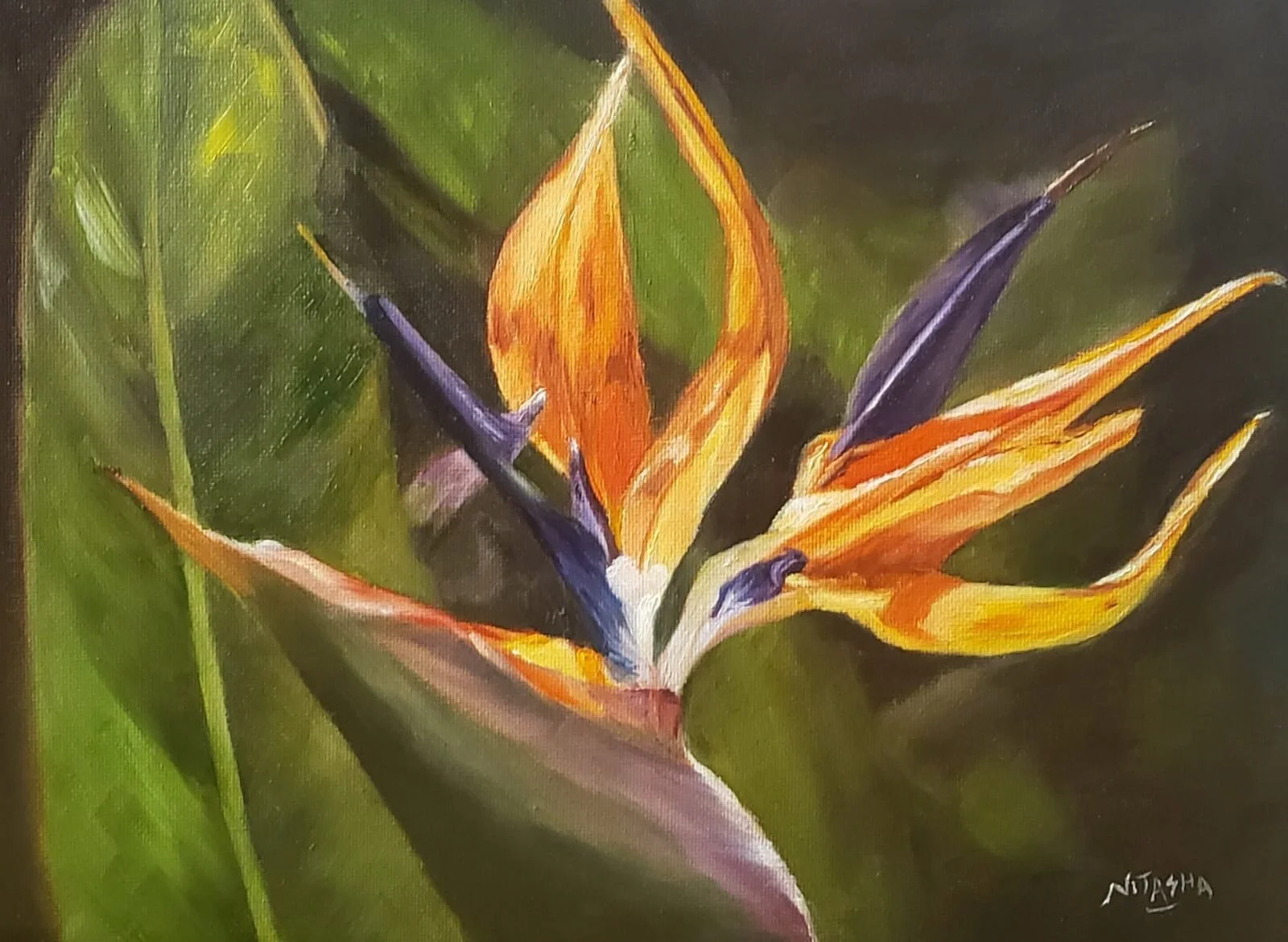 Bird of Paradise_Nitasha.jpeg