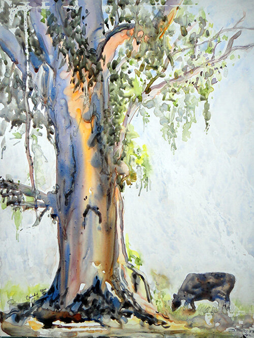 Graze Under Eucalyptus