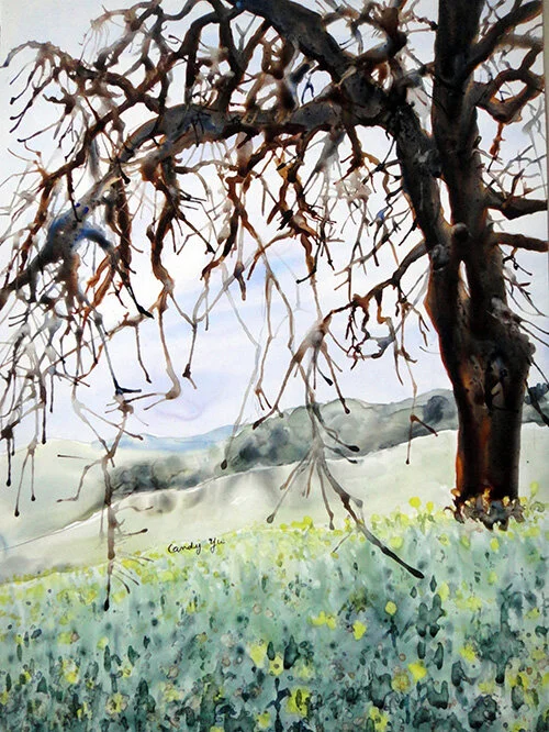 Grant Ranch County Park