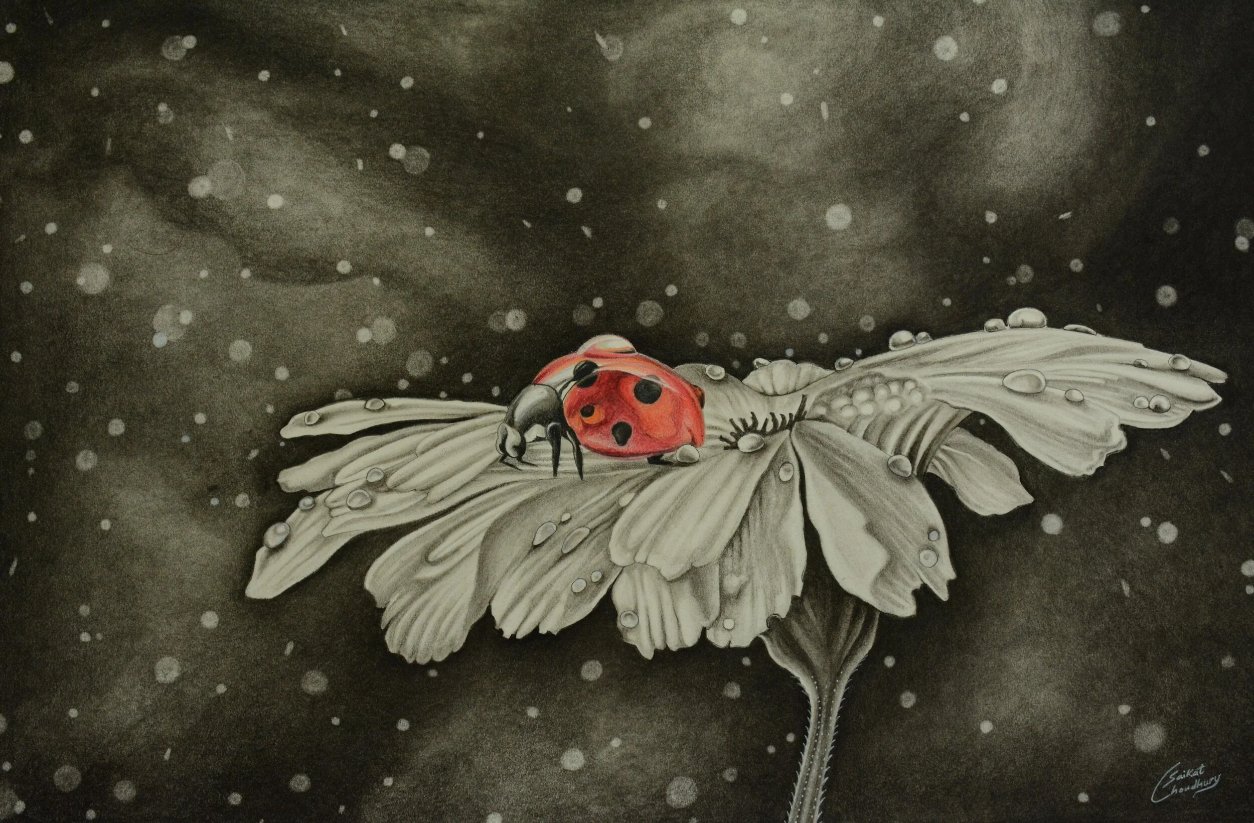 First Place - Lady Spring by Saikat Choudhury