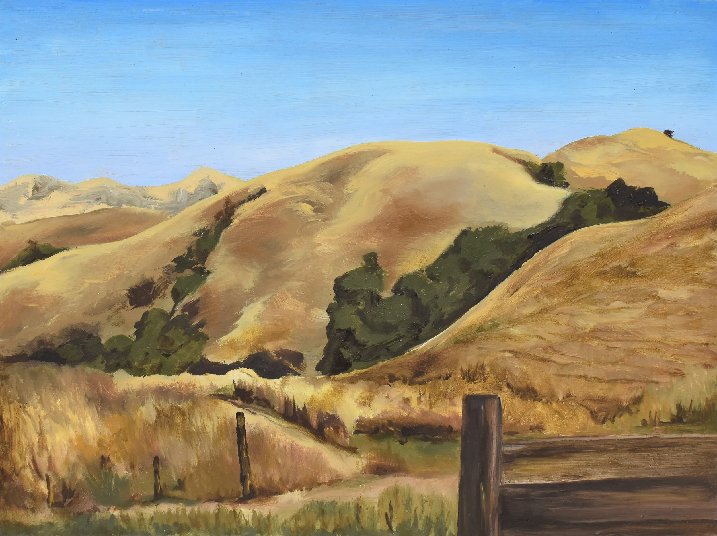 Second Place - Nolas View by Sarah Nguyen