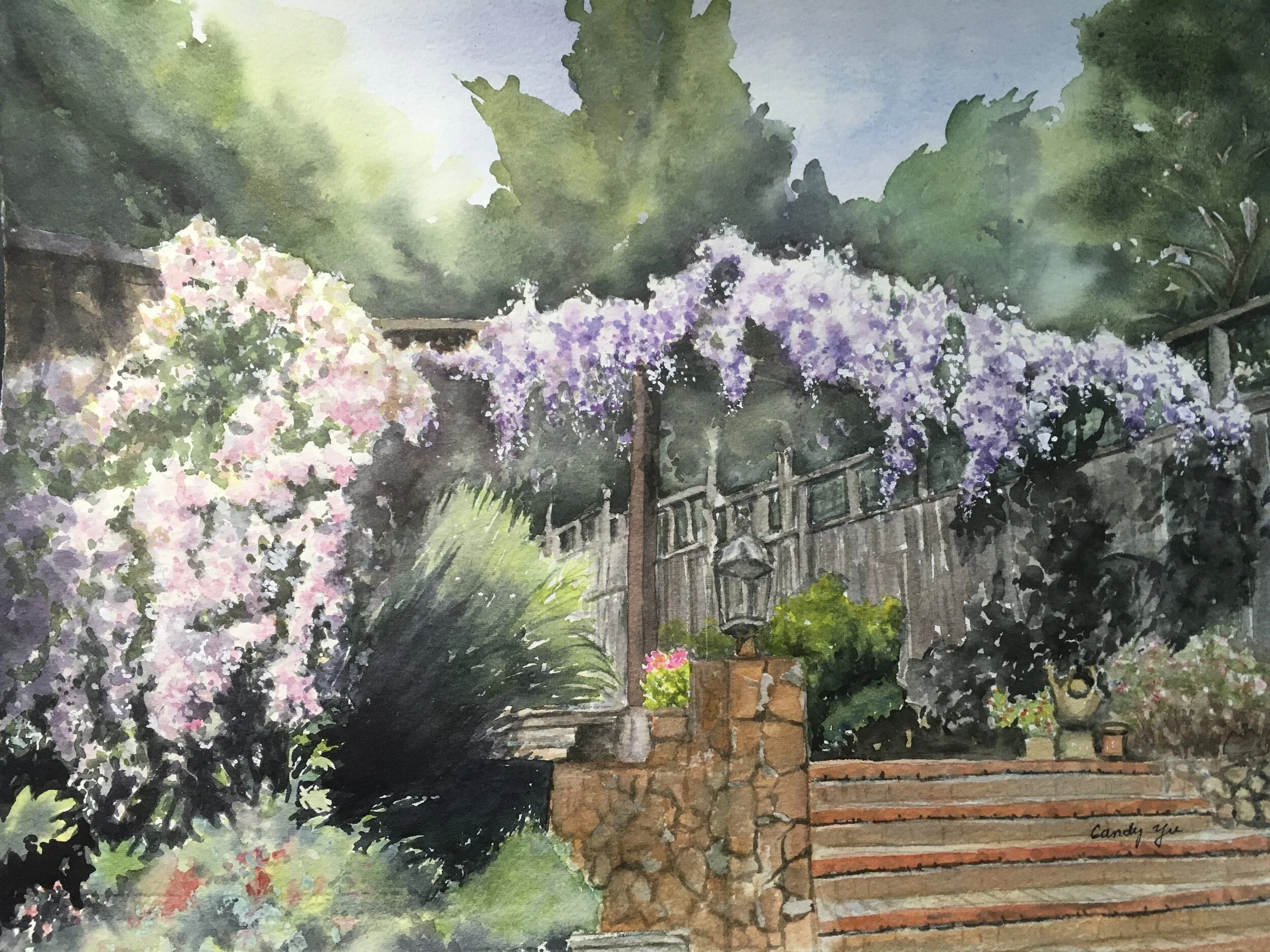 Second Place - Garden of Wisteria by Candy Yu