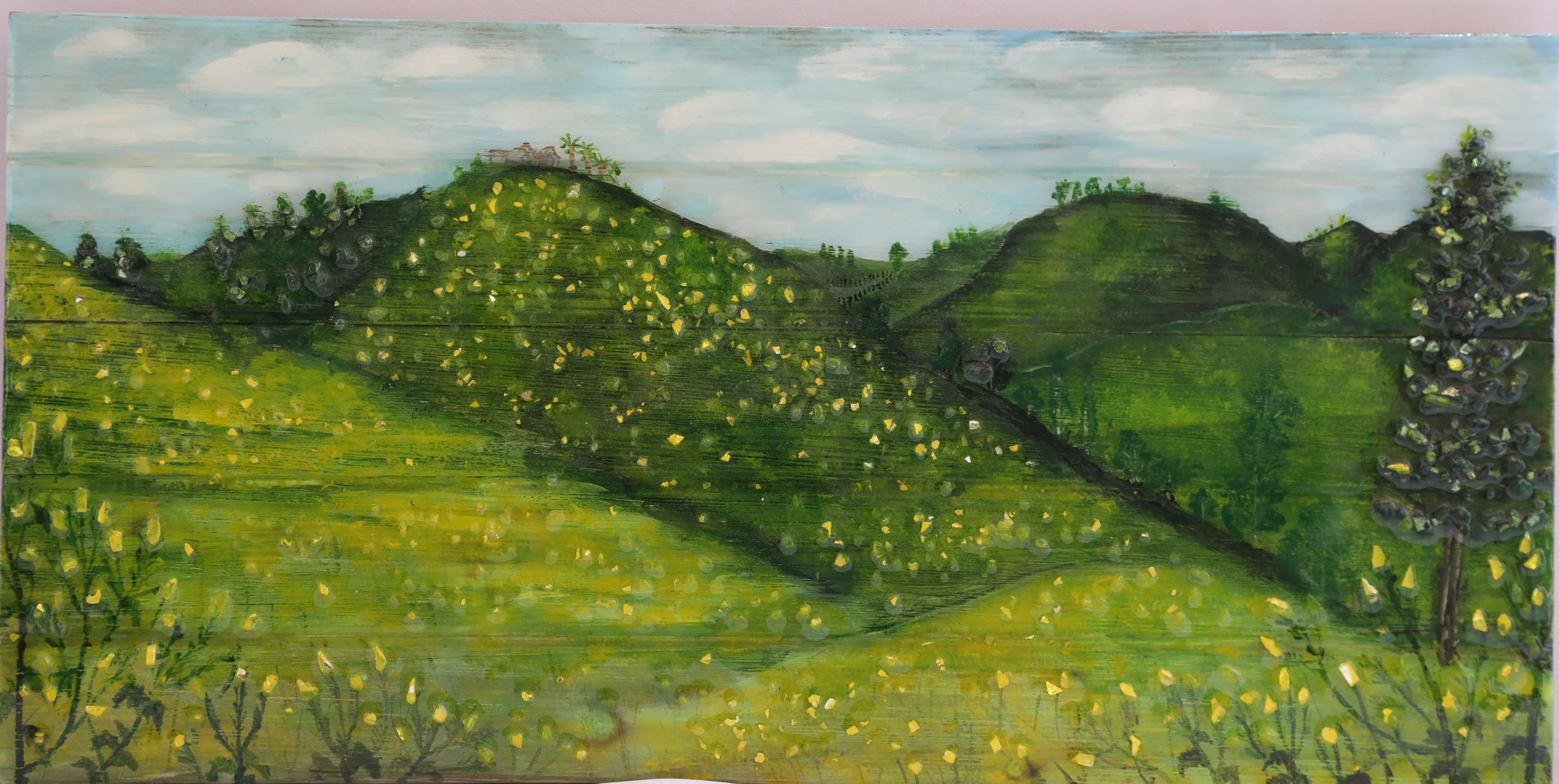 Mary's Mustard field 2.JPG