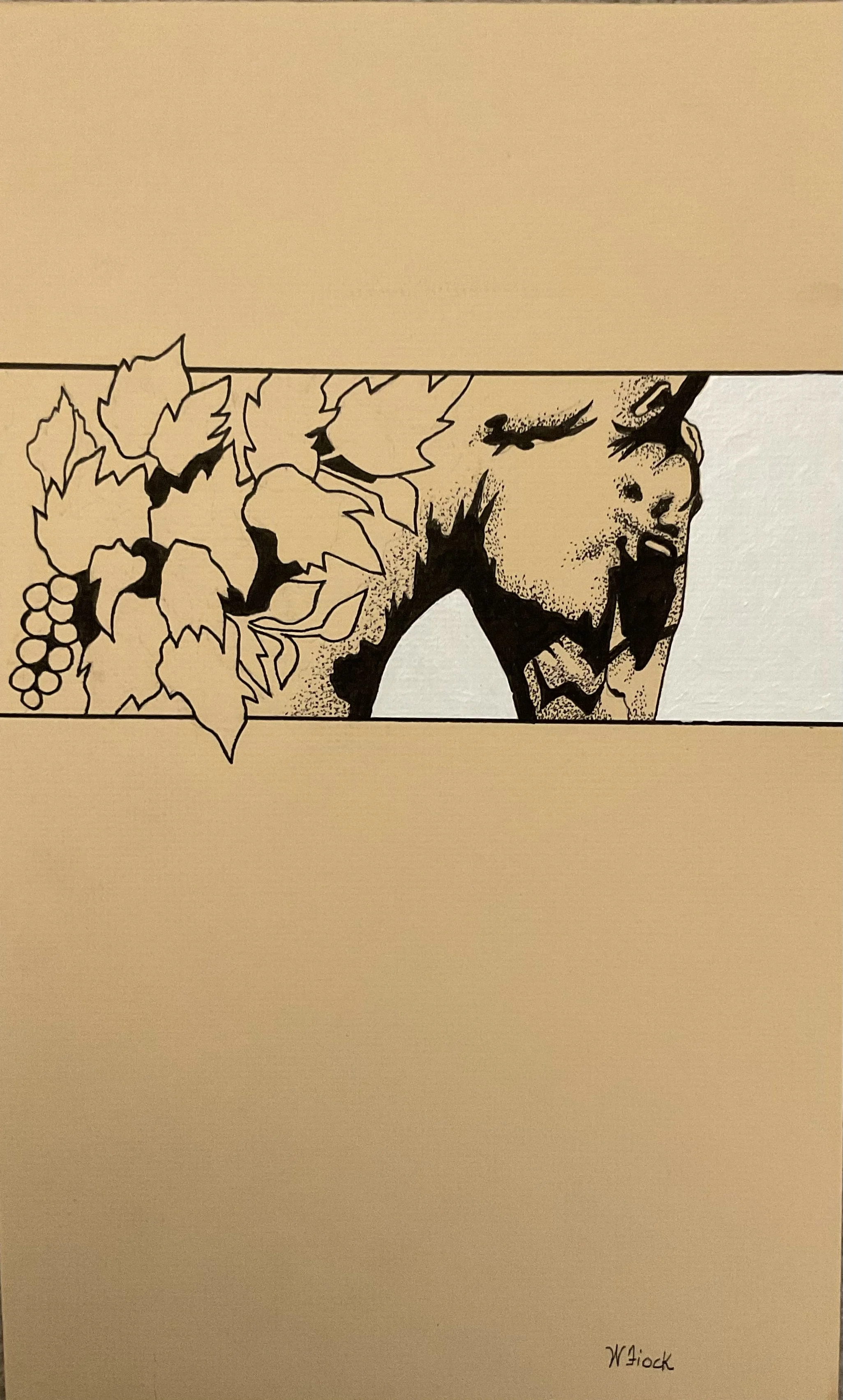 Wendell-Vineyard-to-pasture-ITS.jpeg