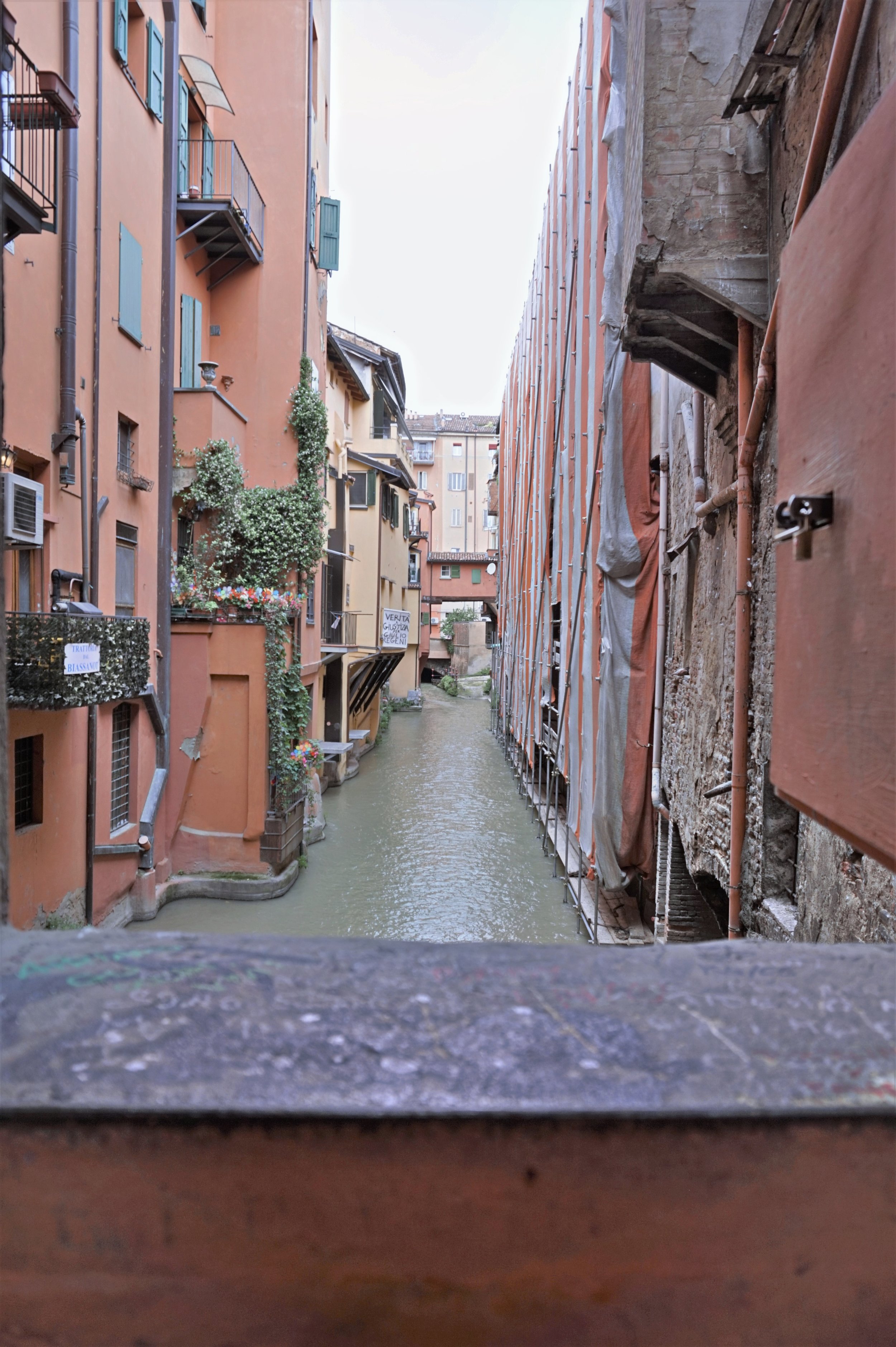 DSC03901-updated.jpg