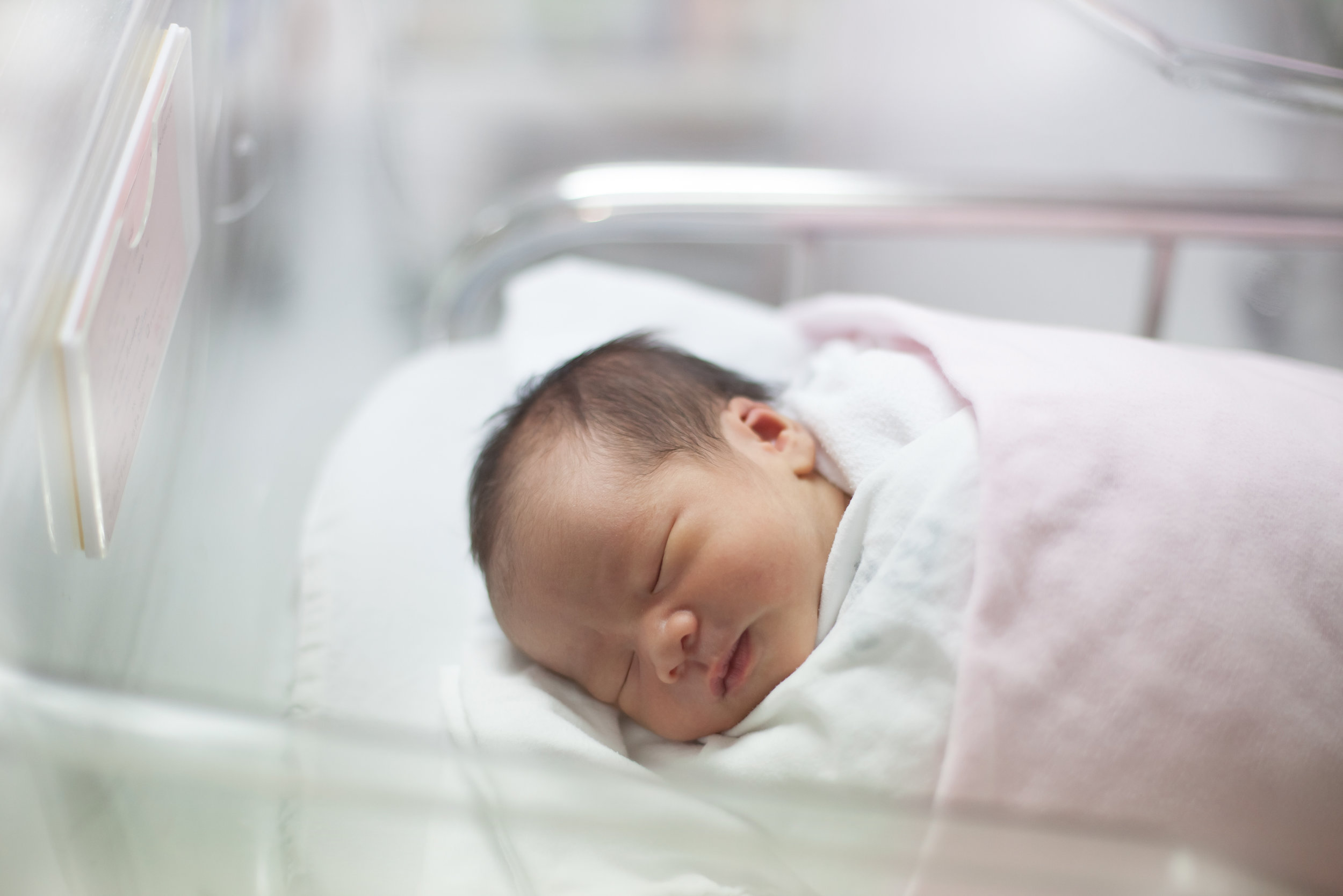 AdobeStock_40952832.jpeg