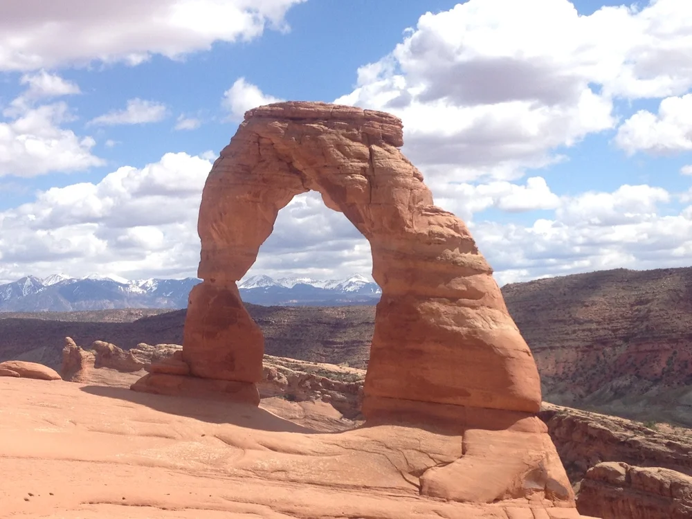 About Umbrella Collective — Umbrella Collective