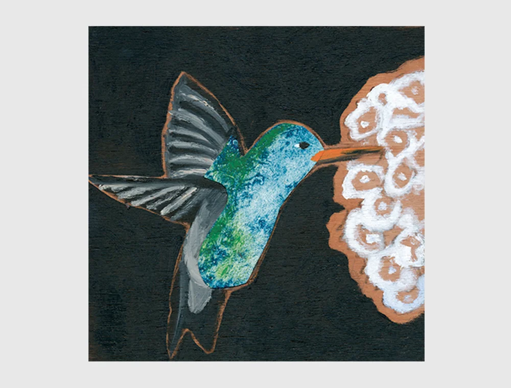 Humming-Bird2.jpg