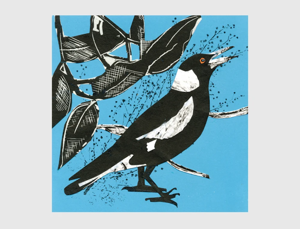 Magpie.jpg