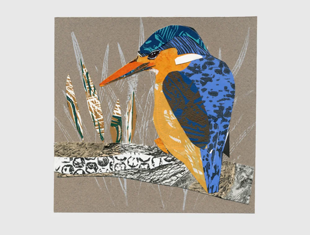 Kingfisher.jpg