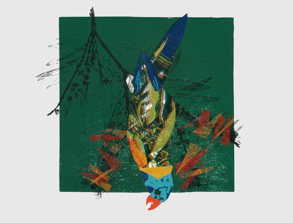 Lorrikeet.jpg