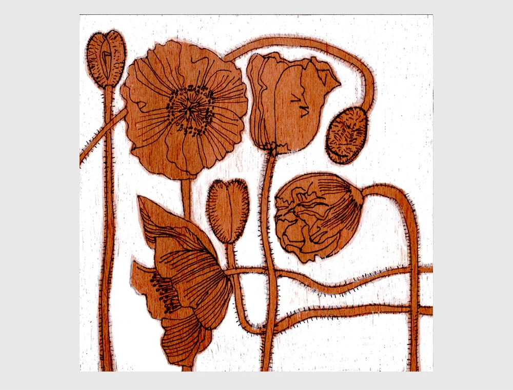 POPPIES.jpg