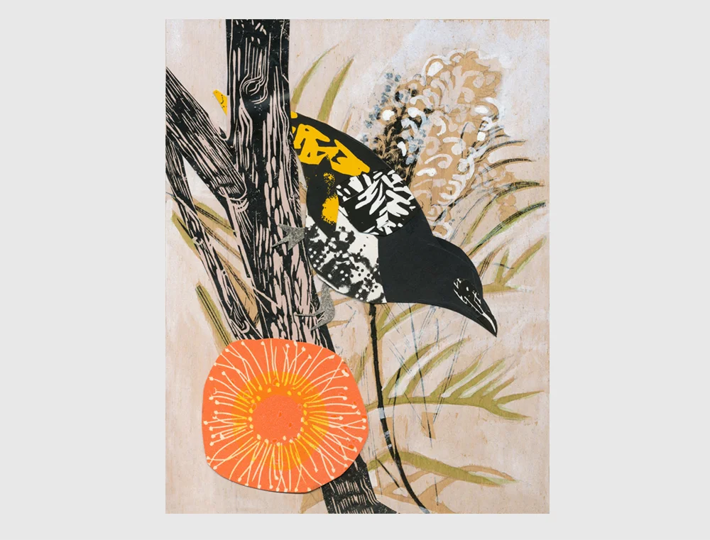 regent honeyeater2.jpg