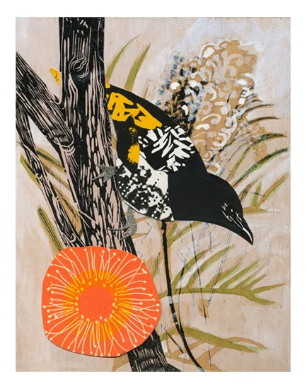 regent honeyeater.jpg