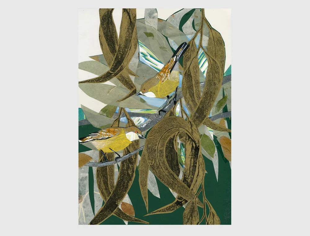 white throated gerygone2.jpg