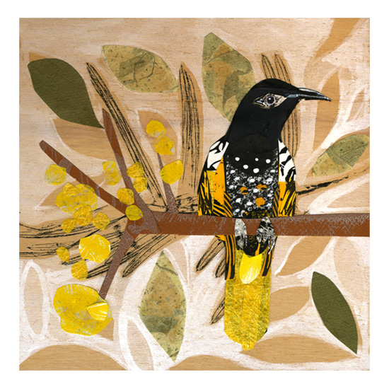 Regent Honeyeater 2.jpg