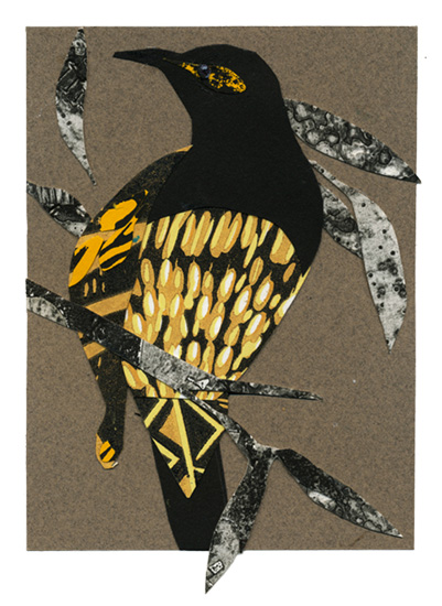 regent honeyeater2.jpg