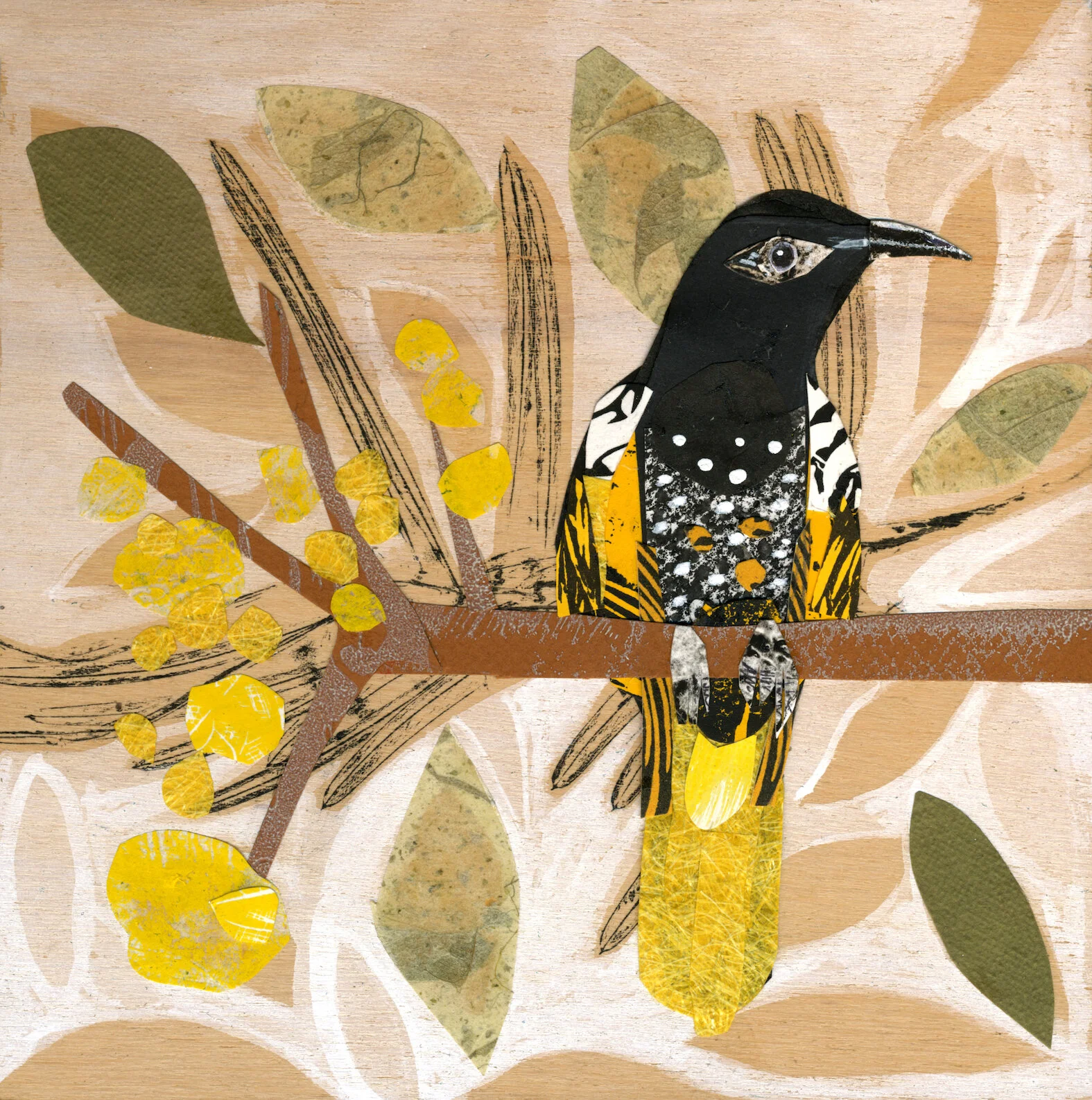 Regent Honeyeater 2