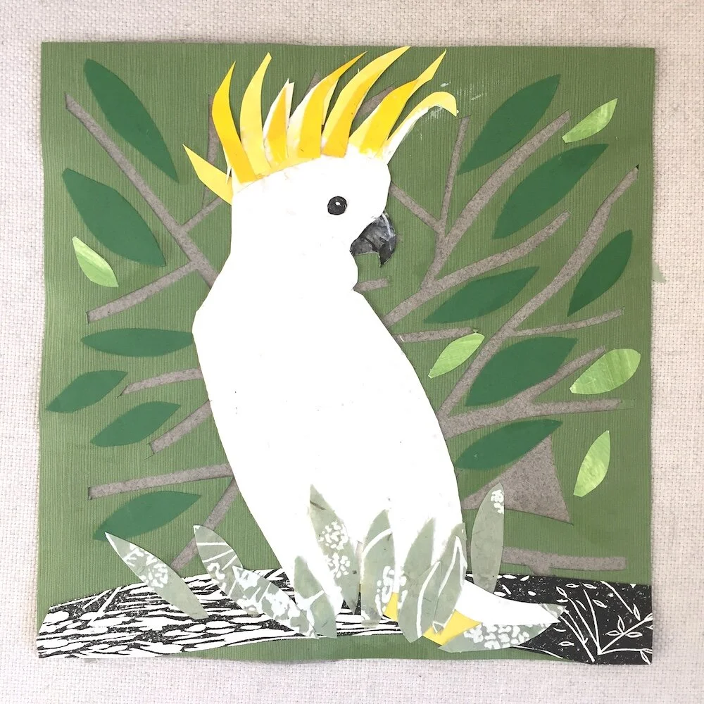 Sulphur-crested Cockatoo