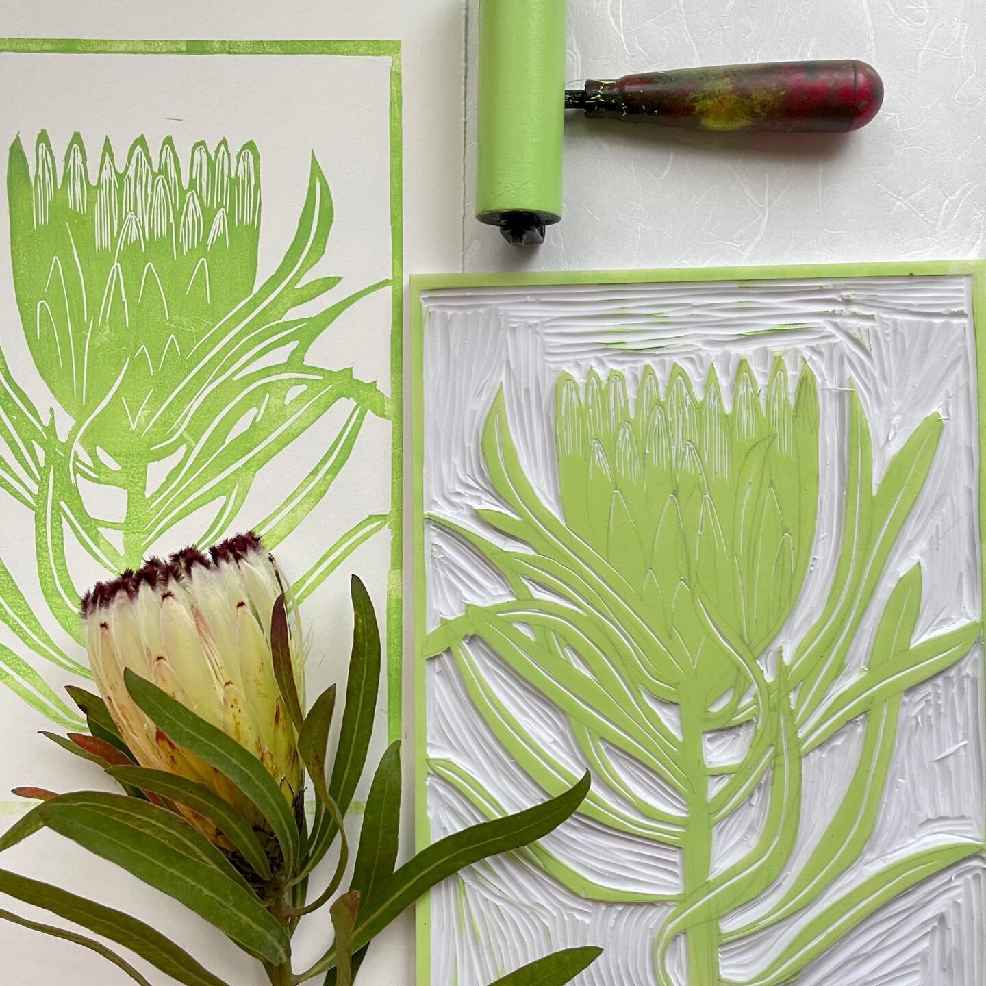 This week has been a carving week, good lockdown therapy!.

#printmaking #print #art #protea #art #marrickville #sydney #colourreduction #australianflora