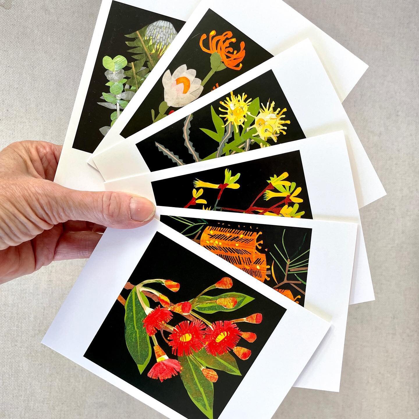 Sending out some card orders today, don&rsquo;t forget, to connect with someone in lockdown means the world to them ❤️

#greetingcards #botanicalart #flowers #australianfloraandfauna #paperflowers #collage #floweringgum #banksia #sendsomelove #tellth