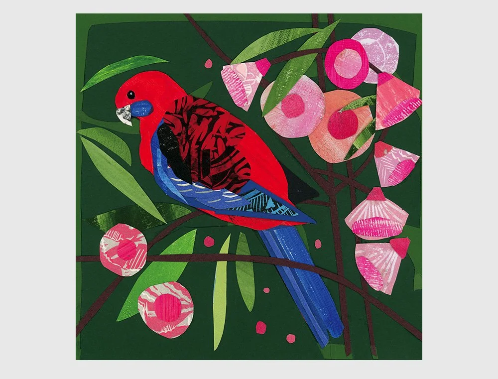 Crimson Rosella