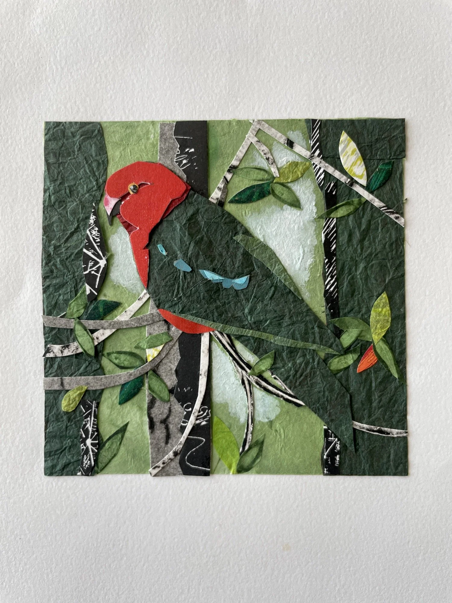 King Parrot Original Artwork