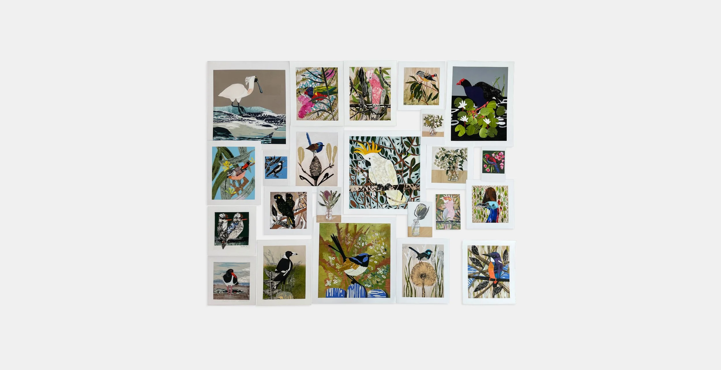 Fiona-Roderick-bird-cards-for-web+heroNov2024.jpg