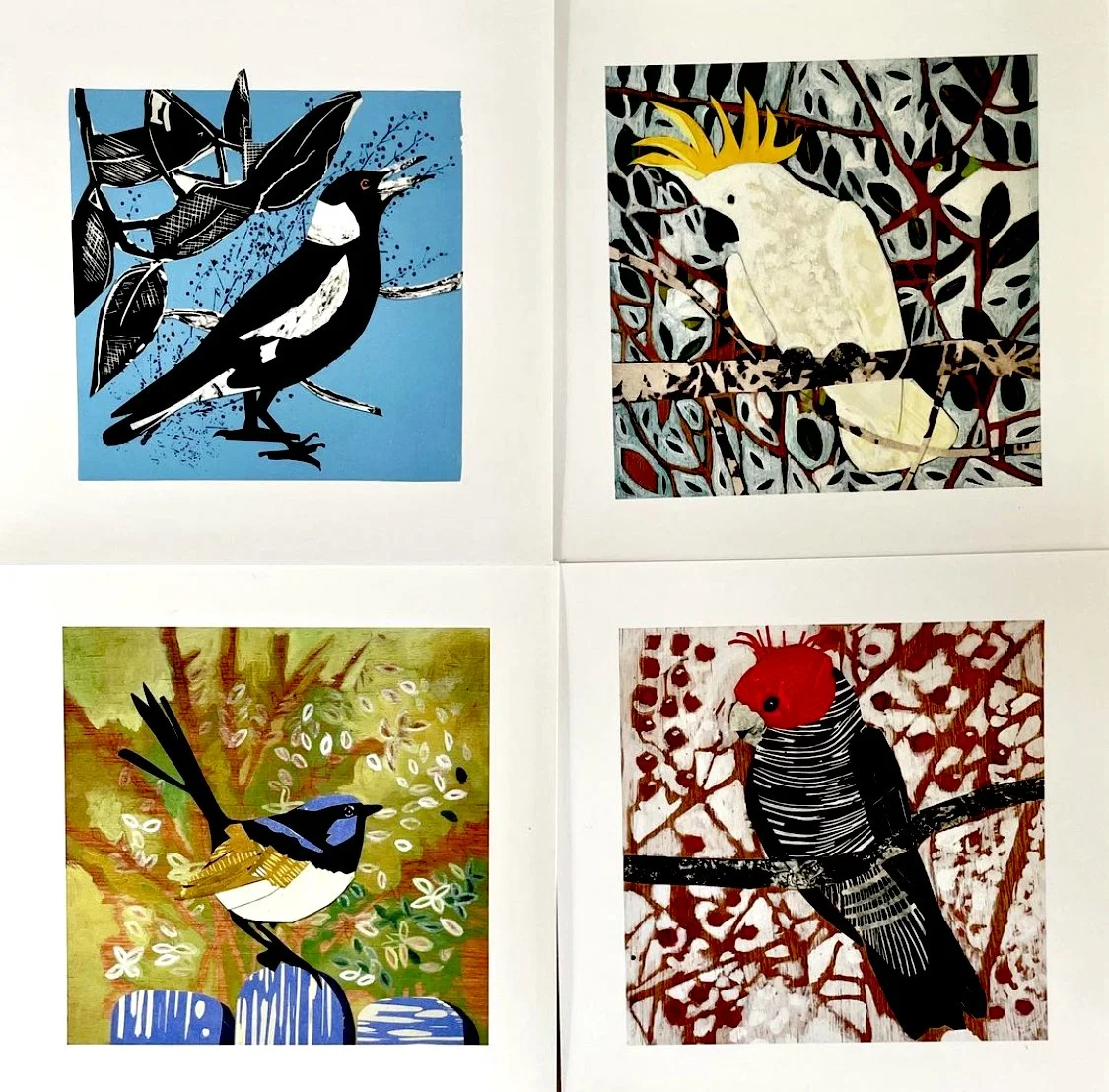 birds.jpg