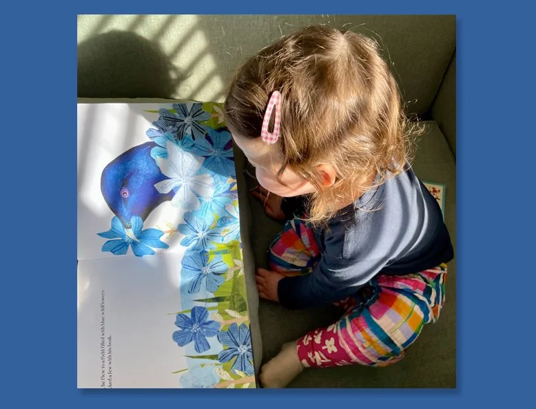 Barry the Satin Bower Bird goes green by Fiona Roderick - inside spread 2 with child