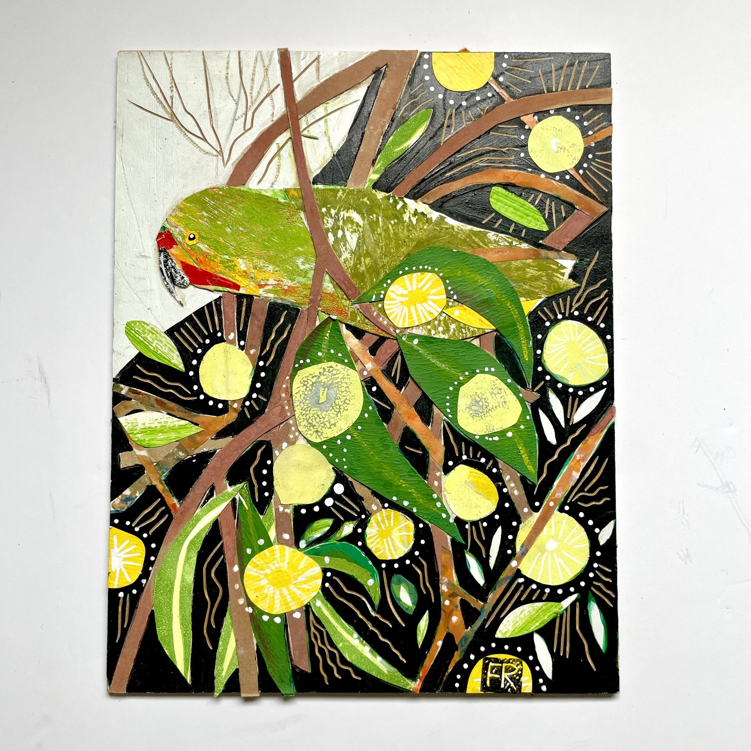 Musk Lorikeet