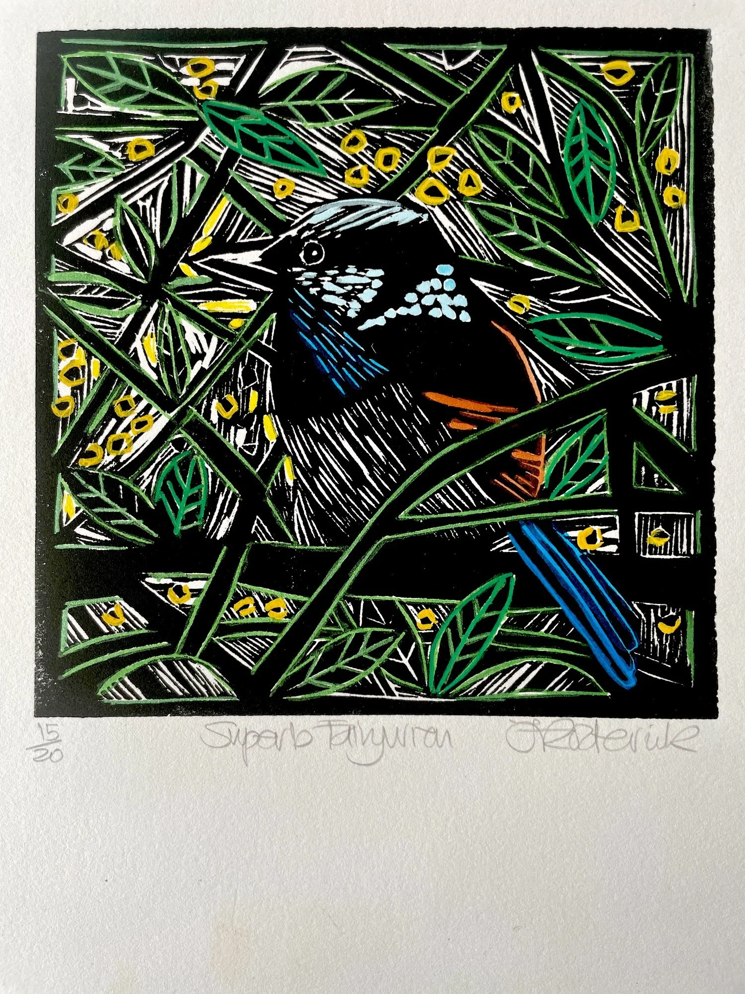 Superb Faorywren print.JPG