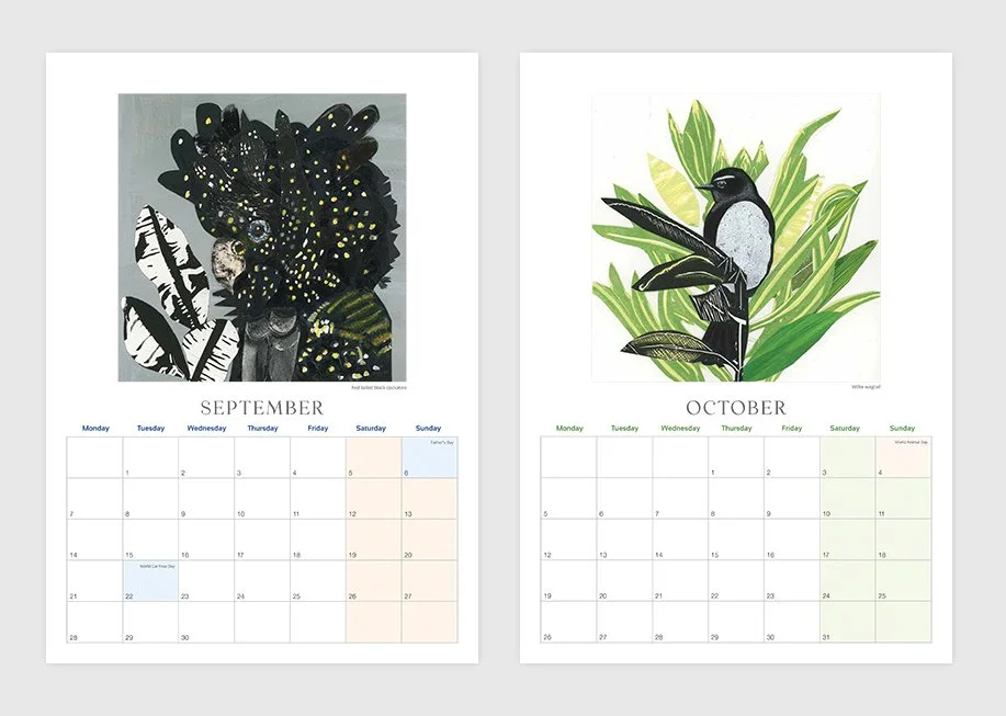2026 australian bird calendar fiona roderick September October