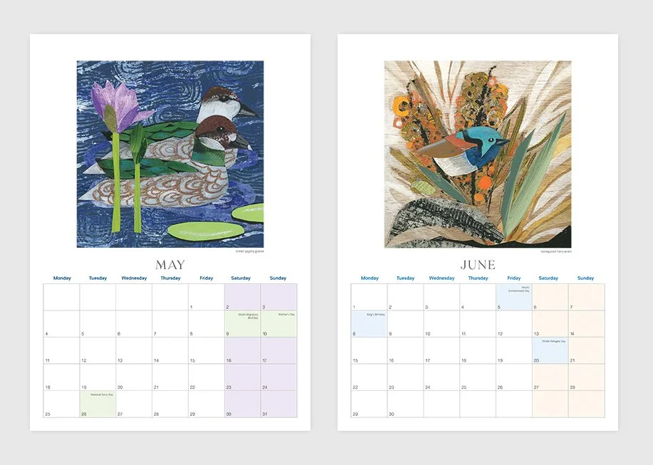 2026 australian bird calendar fiona roderick May June