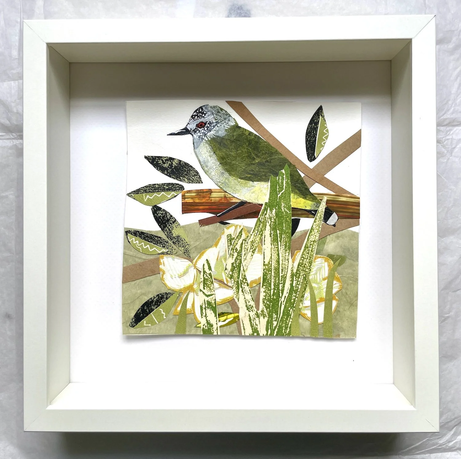 Hello-rumped Thornbill
