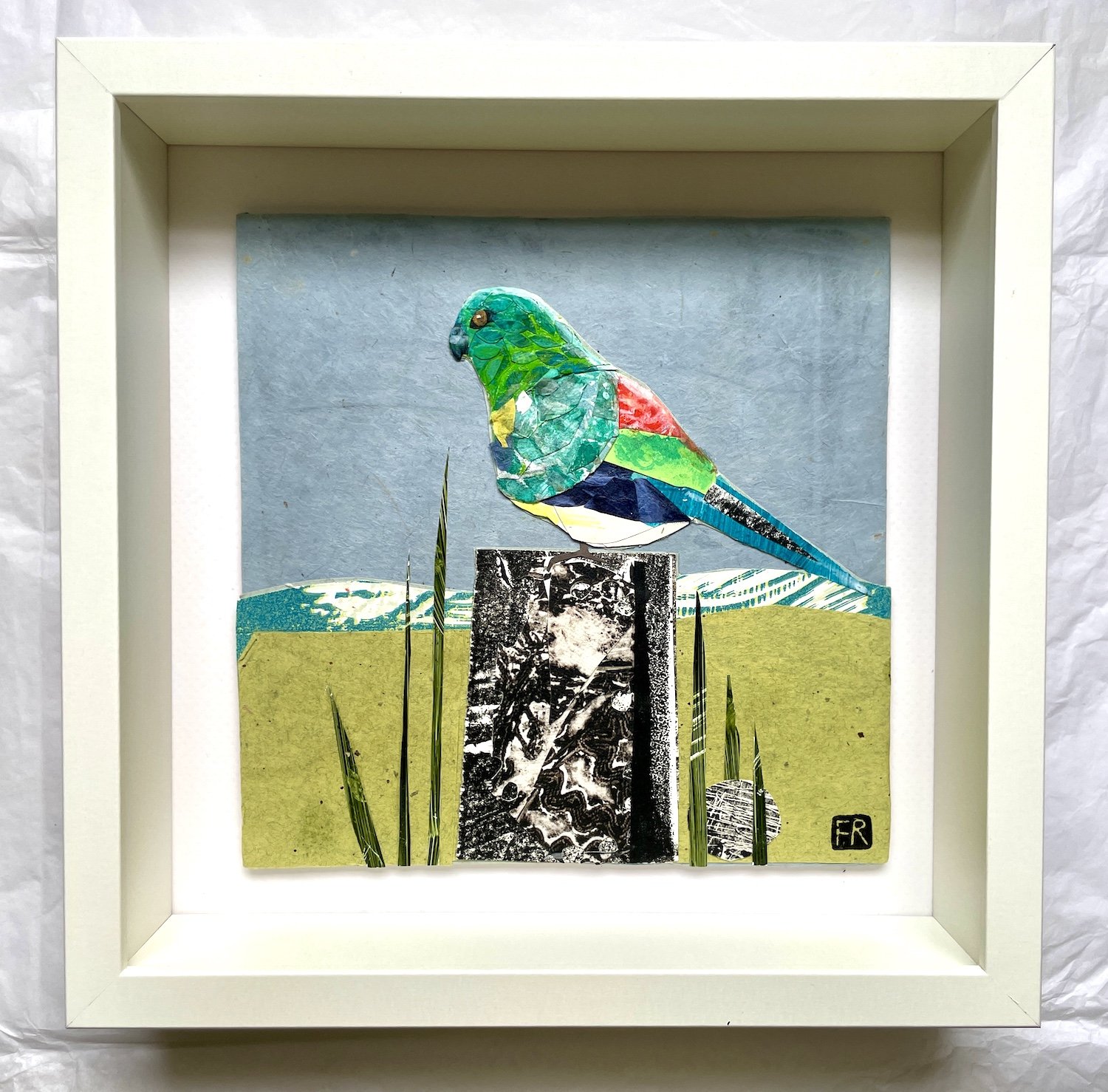 Red-Rumped Parrot