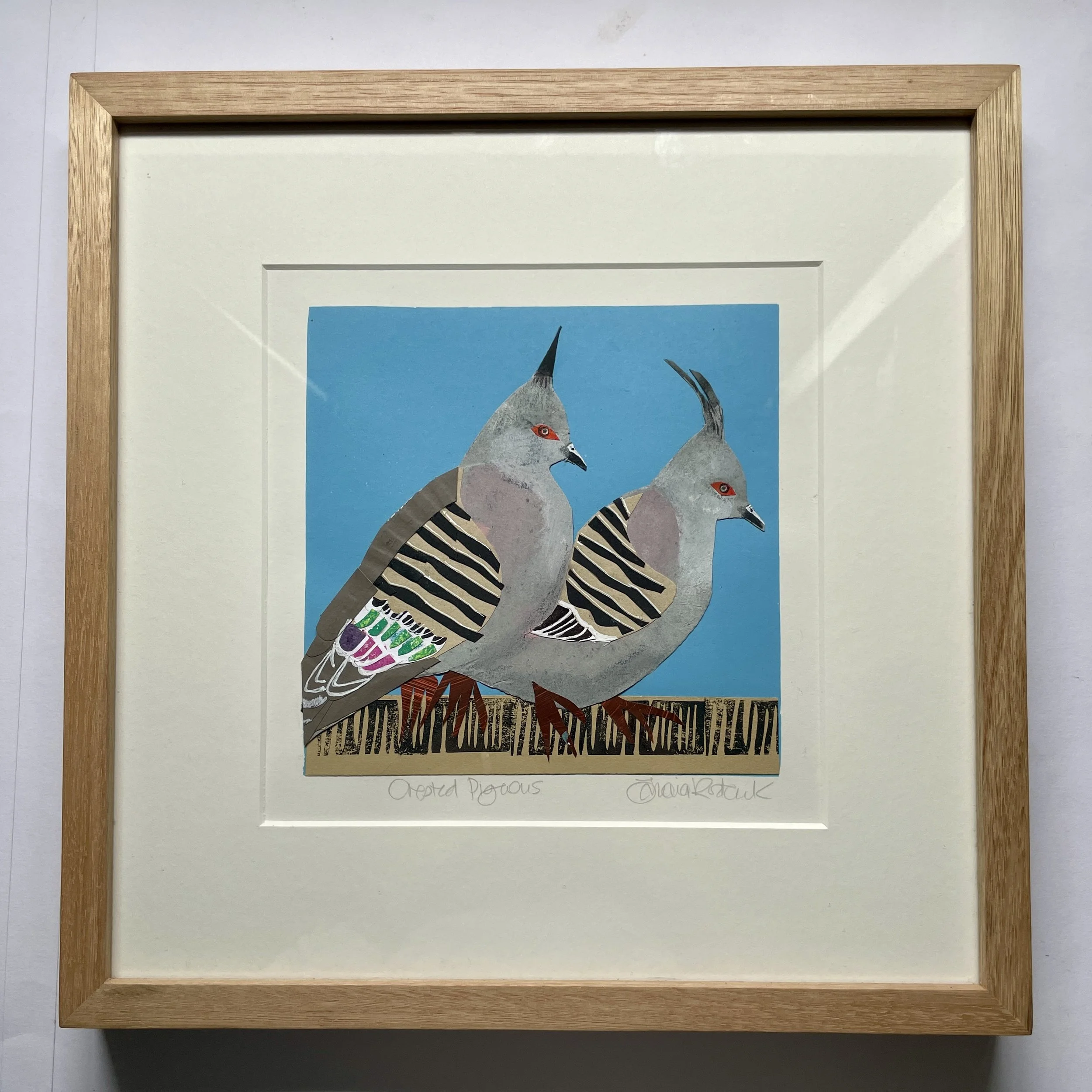 Crested Pigeons