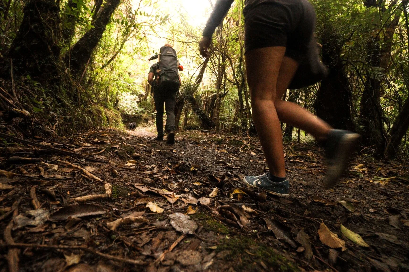 IMG_0728 resized.jpg