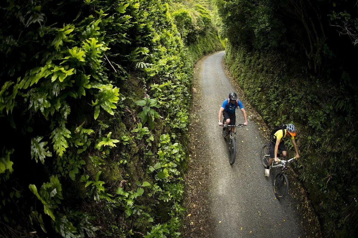 Rimutaka Cycle Trail - Pakuratahi Forest 1200x800 (1).jpg