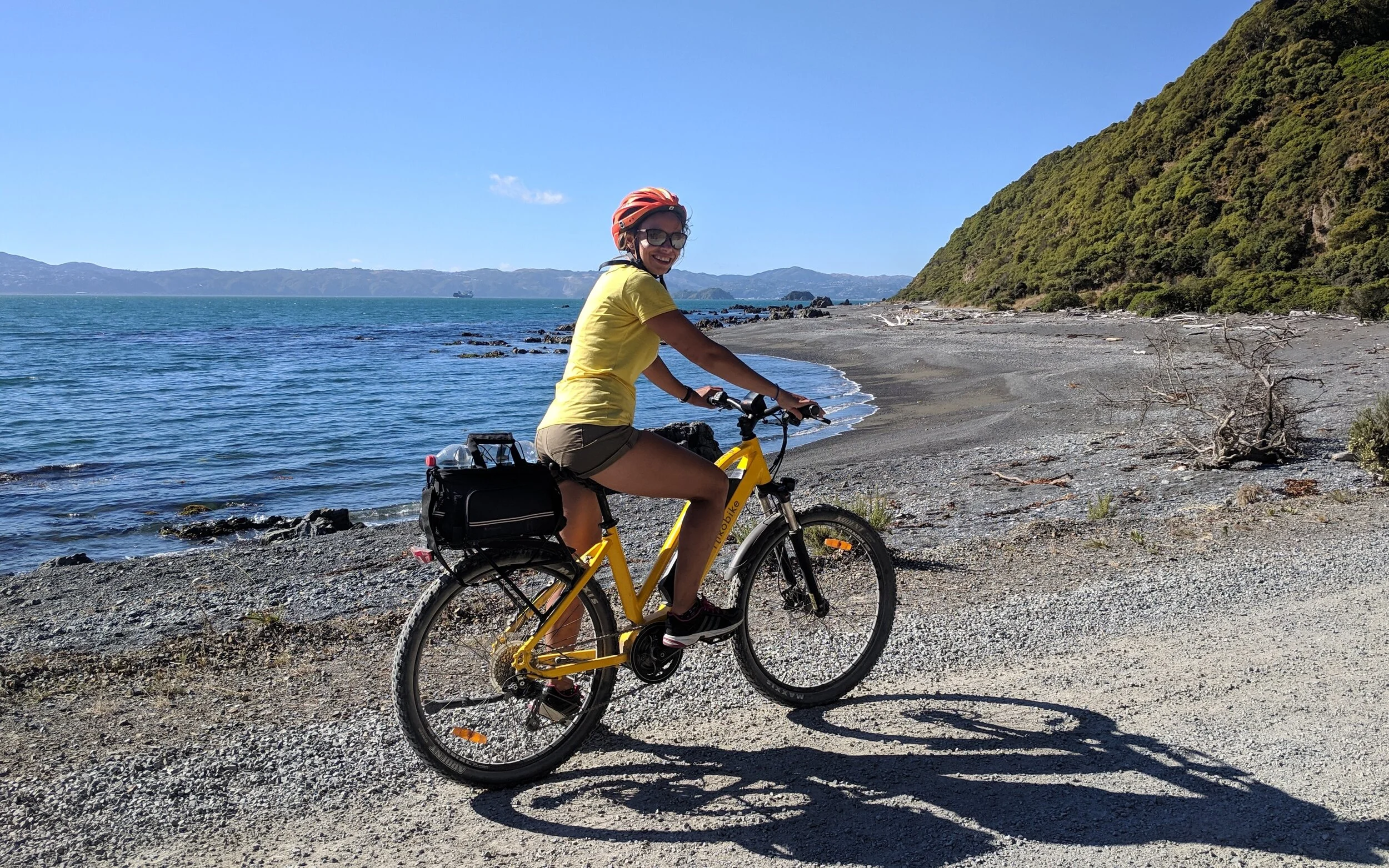 alex buckley pencarrow wellington cropped.jpg