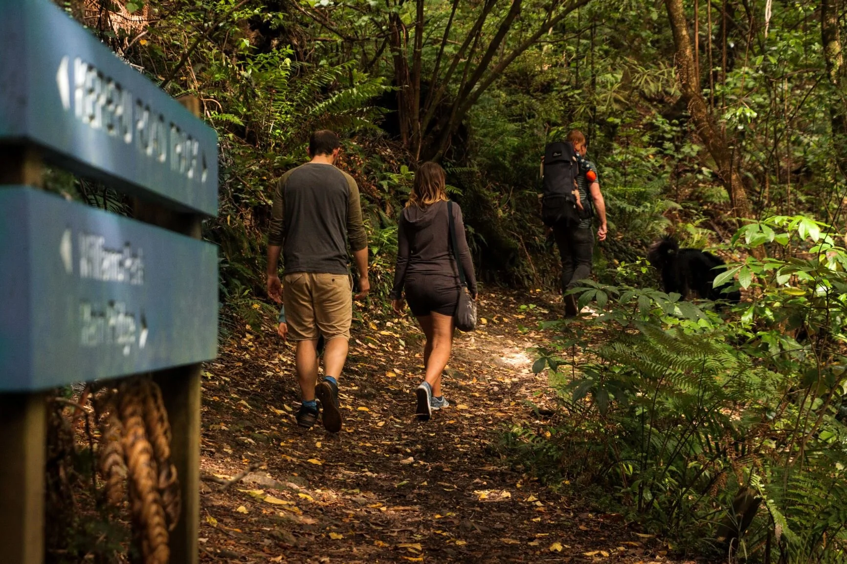 Resized image Bush Walking.jpg