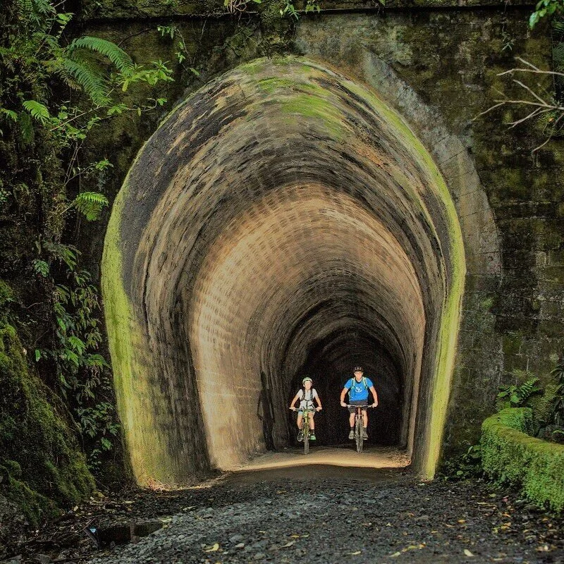 Rimutaka+Cycle+Trail+-+Summit+Tunnel+bright+1200x800.jpg
