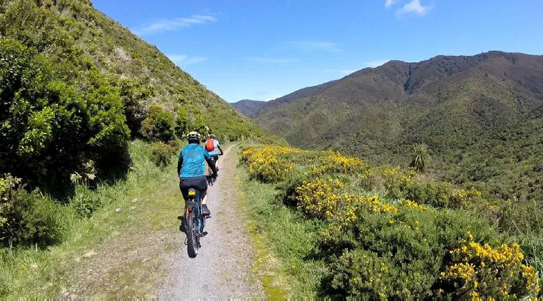 Bike hire from Wildfinder Kaitoke at Remutaka Rail Incline Trail, Wellington