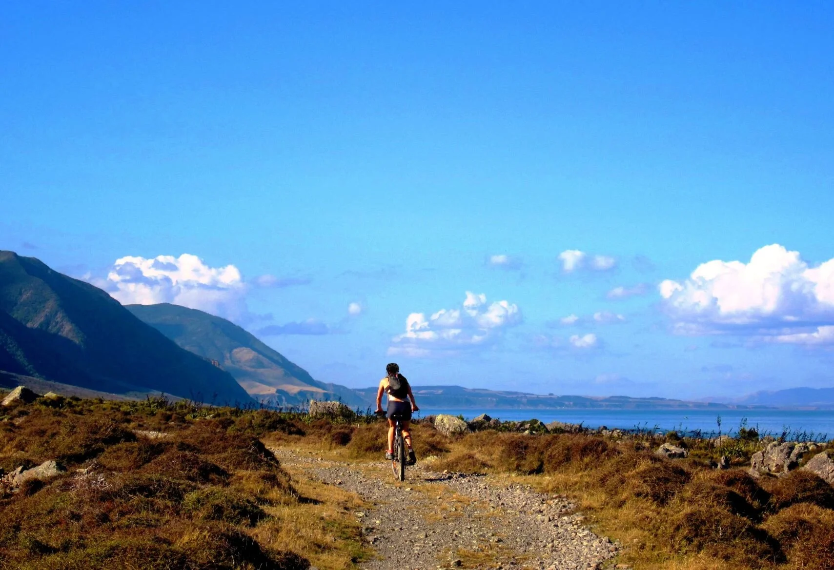 The Wild Coast, Remutaka Cycle Trail.jpg