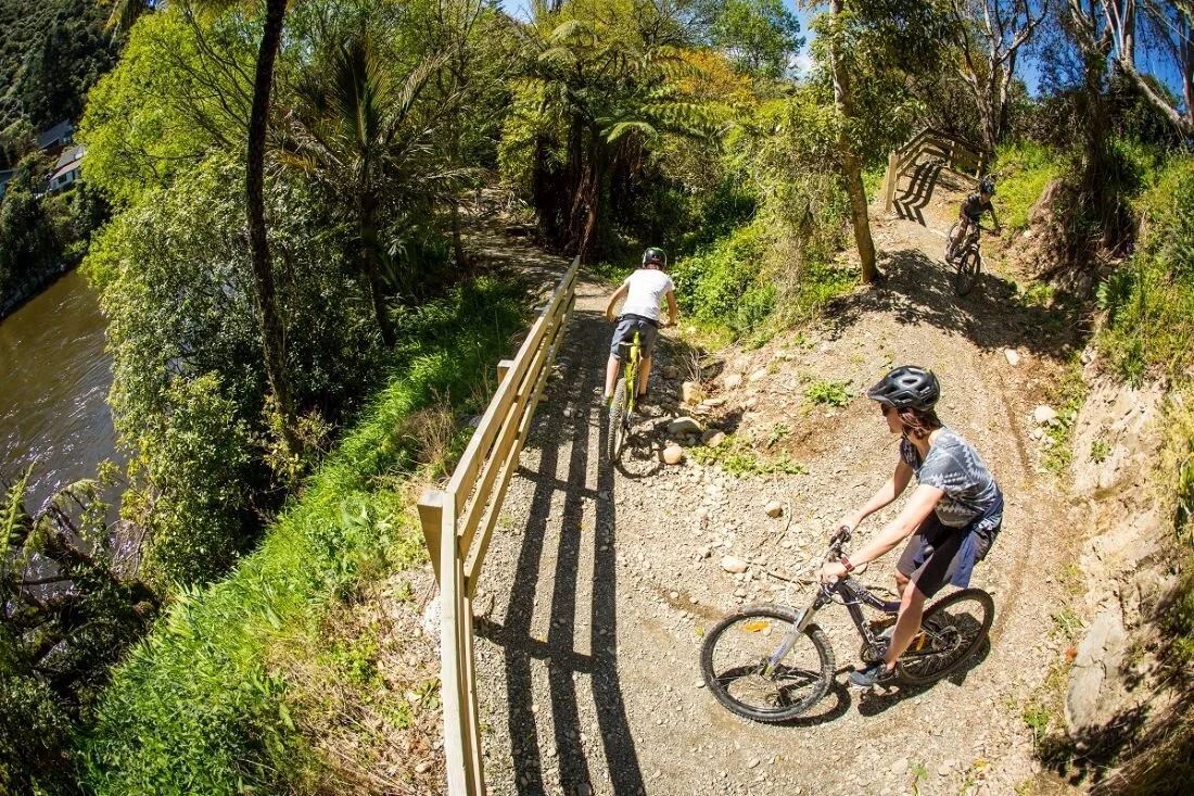 Bike Hire at Petone Wharf — Wildfinder