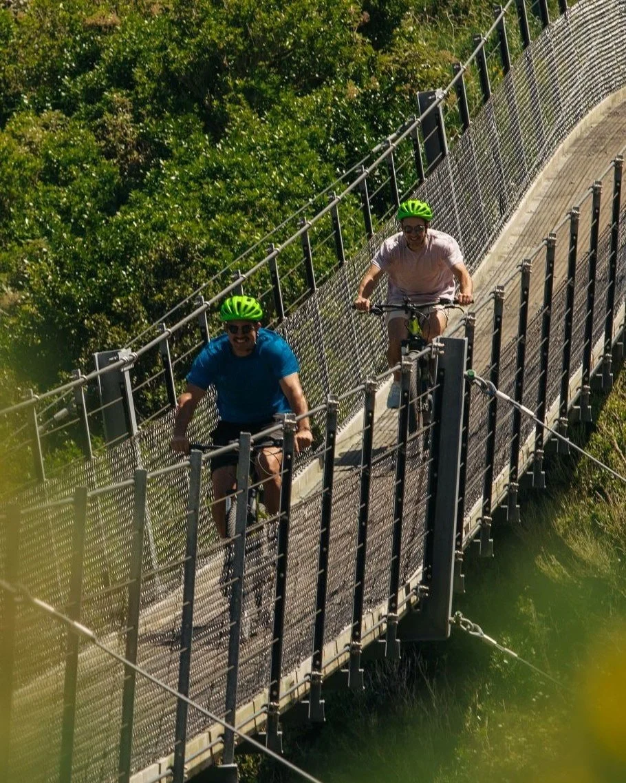 Remutaka+Cycle+Trail+-+rail+trail+section+-+credit+RoadyNZ-048+small.jpg