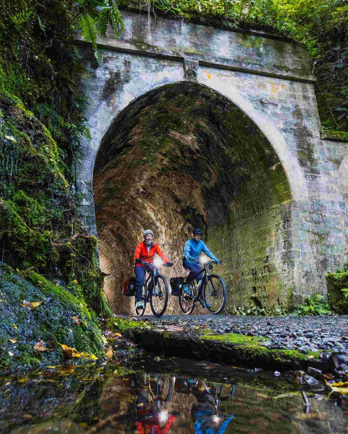 small+WNZ_Rail+trail+Section_Remutaka+Cycle+Trail_16032024_Wellington+Regional+Trails_Credit_Caleb+Smith+Photography_ExpApr2039+%282%29.jpg